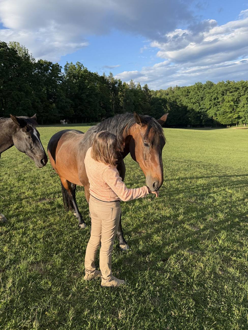 Ellen voert Mendez en een ander paard in de wei in Oostenrijk