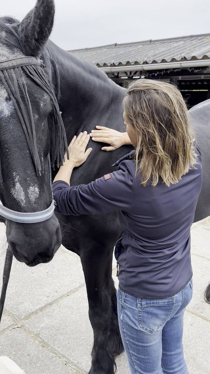 Handen van Ellen op de hals van een zwart paard